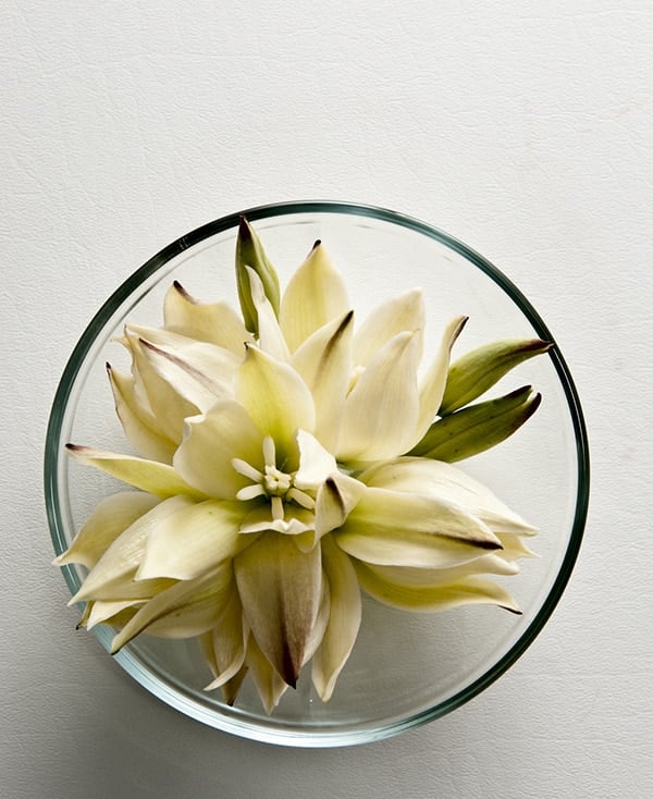 Yucca flowers in a bowl