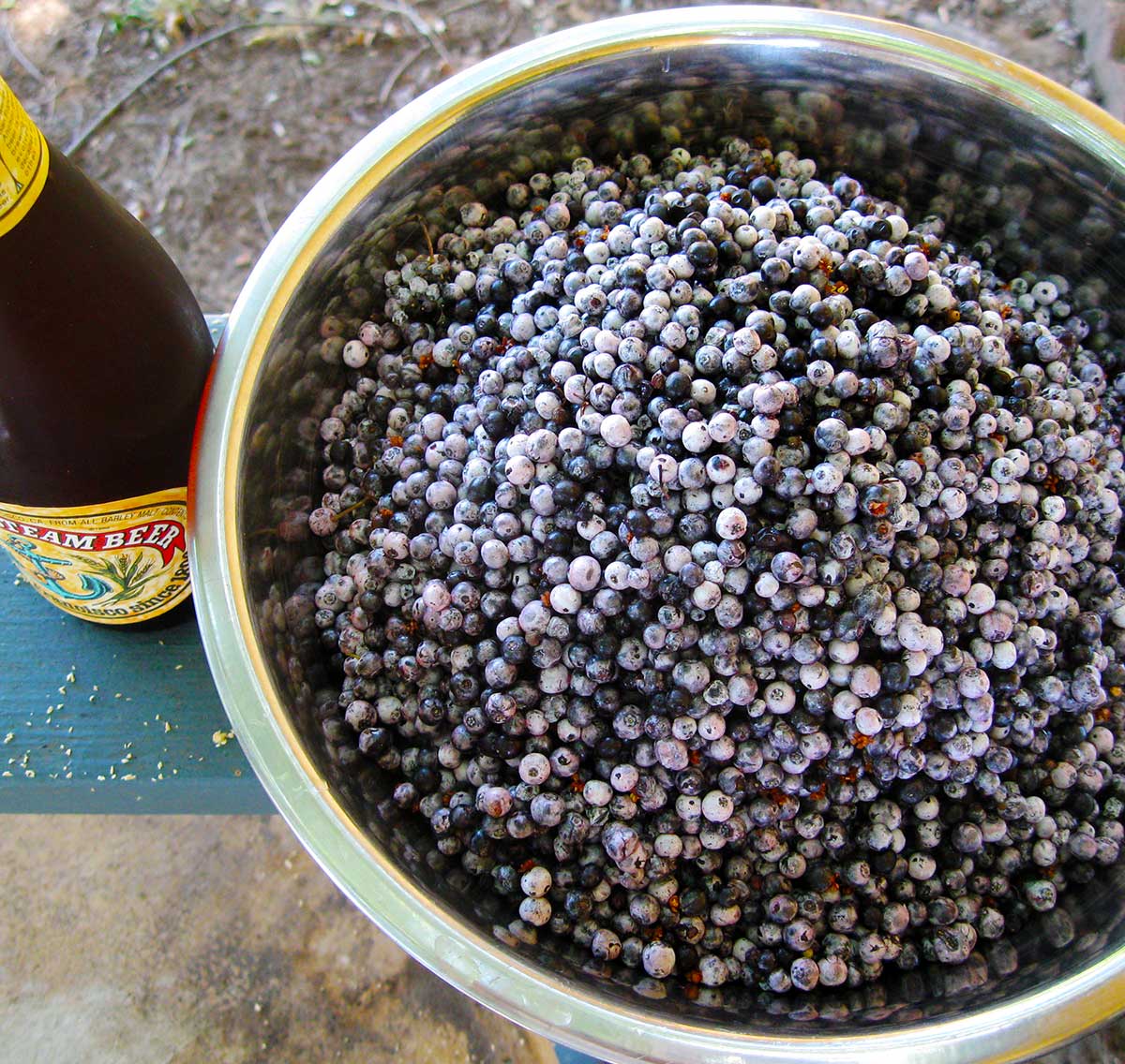 A bowl of destemmed elderberries.