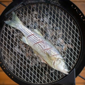 Whole fish on the grill