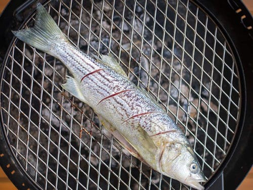 Grilled Whole Fish - How to Grill a Whole Fish
