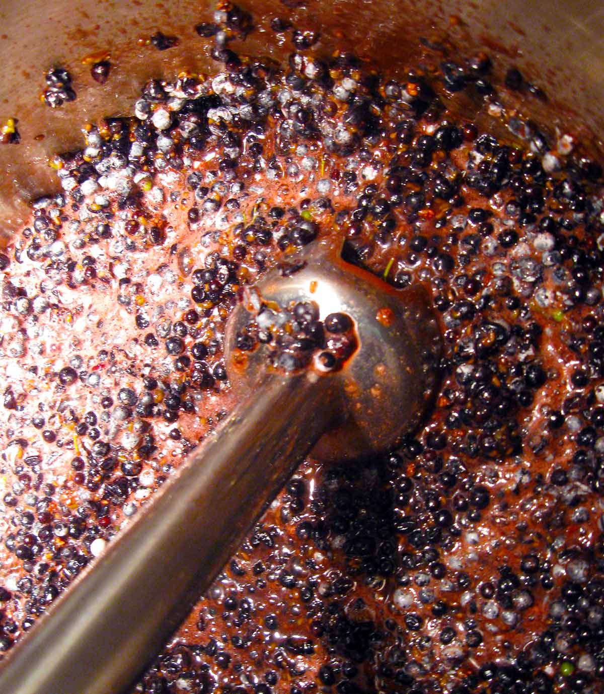 Blending elderberries with an immersion blender. 