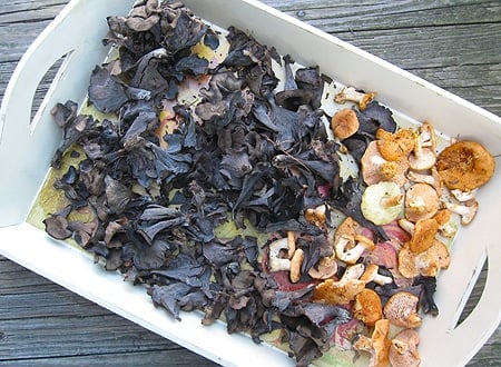 hedgehogs and black trumpet mushrooms in a platter