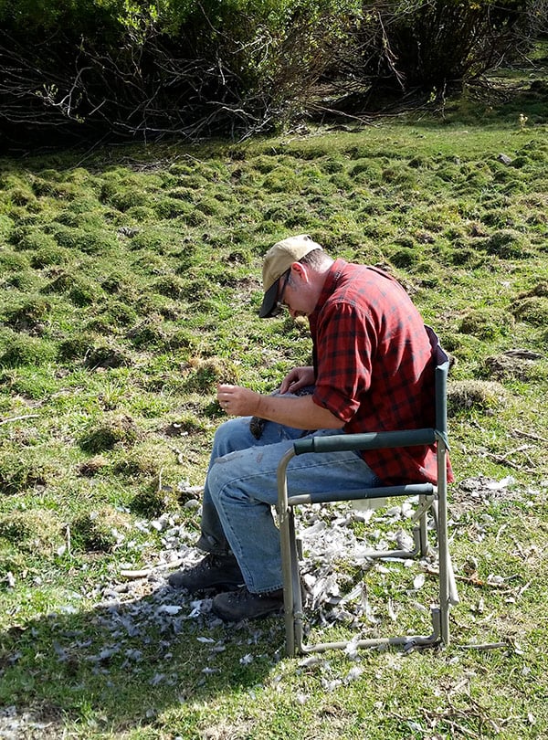 Hank Shaw plucking a sage grouse.