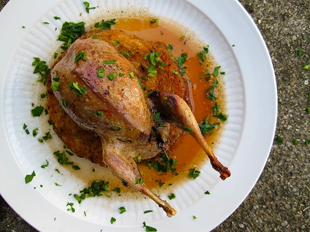 roasted woodcock with a vinegar-crabapple sauce
