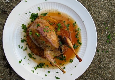 Roast woodcock Michigan, on a plate. 