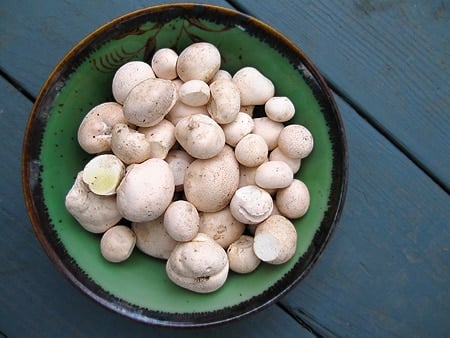 Small puffballs in a bowl