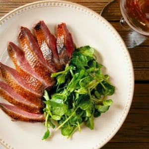 finished smoked duck recipe