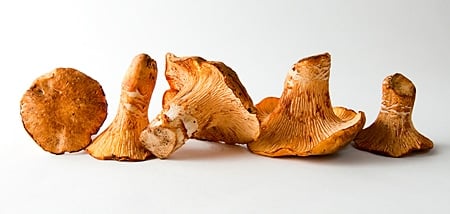 An array of chanterelles