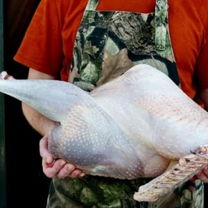 Hank Shaw holding a plucked wild turkey