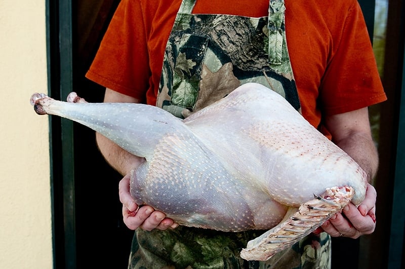 Hank Shaw holding a plucked wild turkey