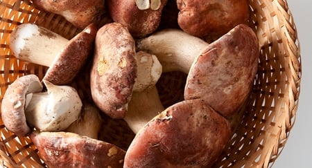 https://honest-food.net/wp-content/uploads/2012/05/basket-of-porcini-close.jpg