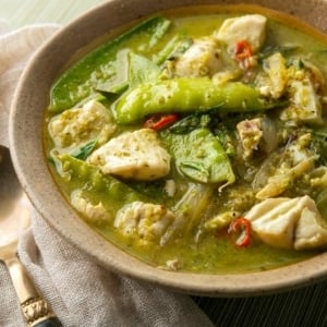 Closeup of Thai fish curry in a bowl