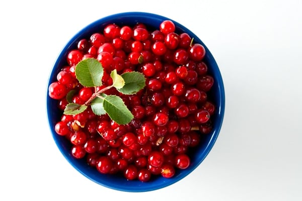 A bowl of hollyleaf redberries