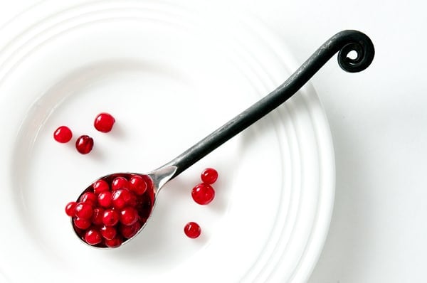 What are the beautiful red berries by the side of the road?