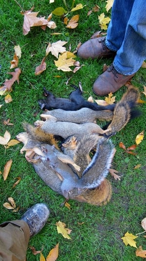 The result of a good day squirrel hunting