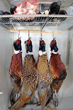 Four pheasants hanging