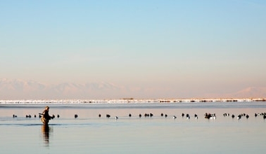 Hank Shaw retrieving ducks in Salt Lake