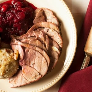 Roast venison with Bavarian dumplings and cranberry sauce on a plate.