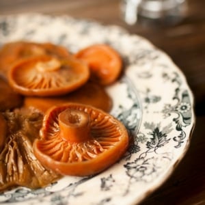 Close up of fermented mushrooms on a plate.