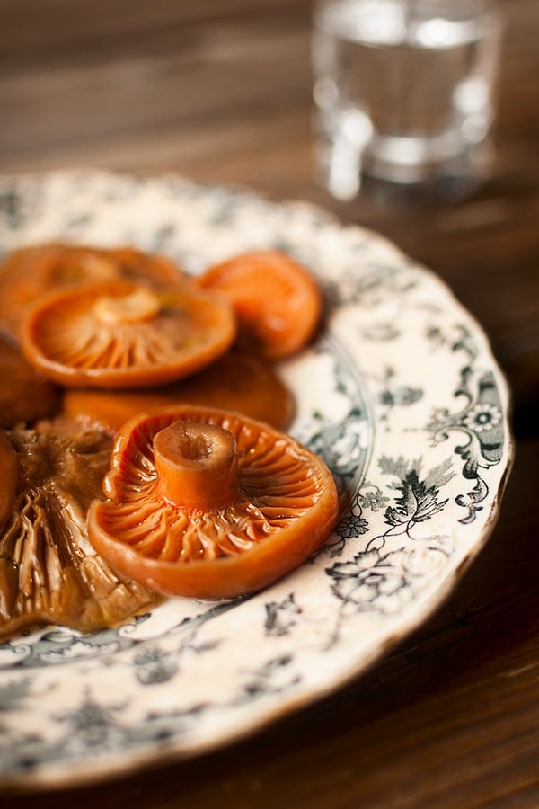 Close up of fermented mushrooms on a plate. 