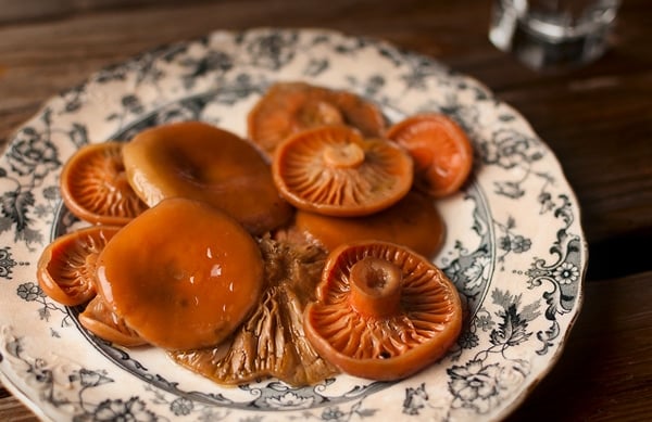 Close up of fermented mushrooms on a plate. 