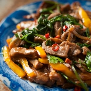 venison stir-fry recipe