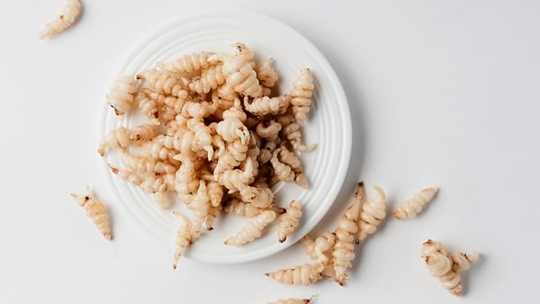 crosnes, Chinese artichokes, on a plate