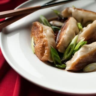 venison potstickers recipe