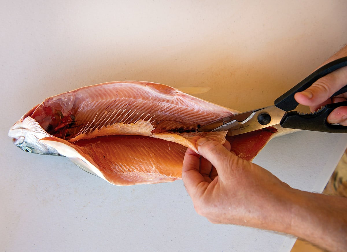 Removing the ribs off a fish with shears. 