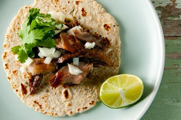 Turkey carnitas on a tortilla