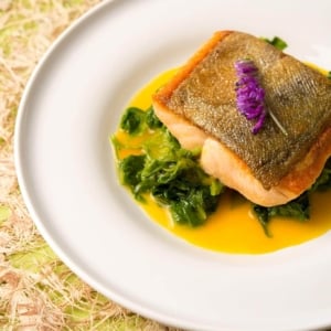 Saffron sauce with fish and greens on a plate.
