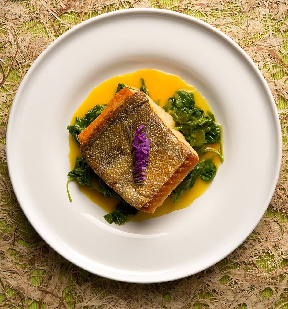 Overhead view of saffron sauce with seared trout on a plate. 