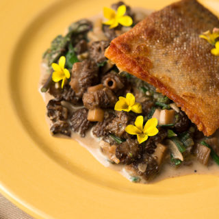 Trout and morels