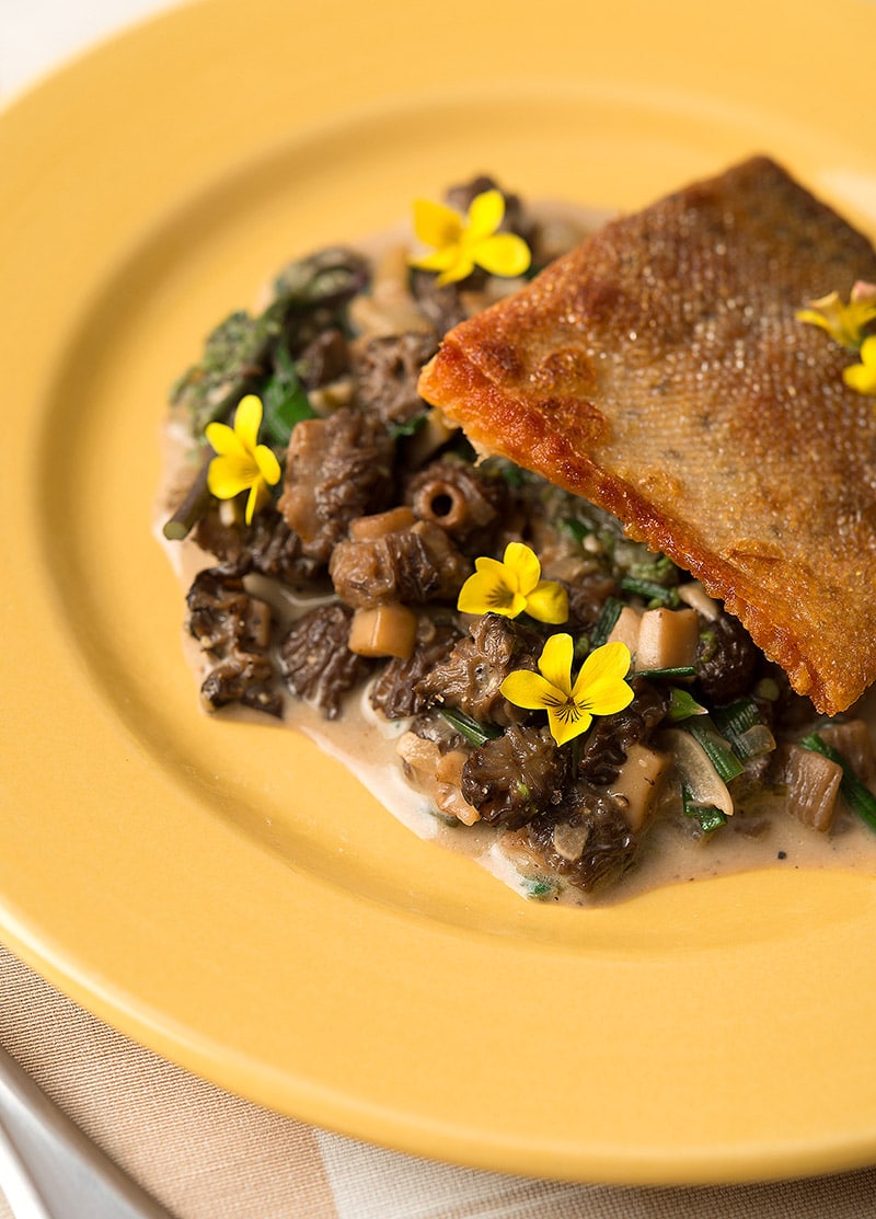 Trout and morels 