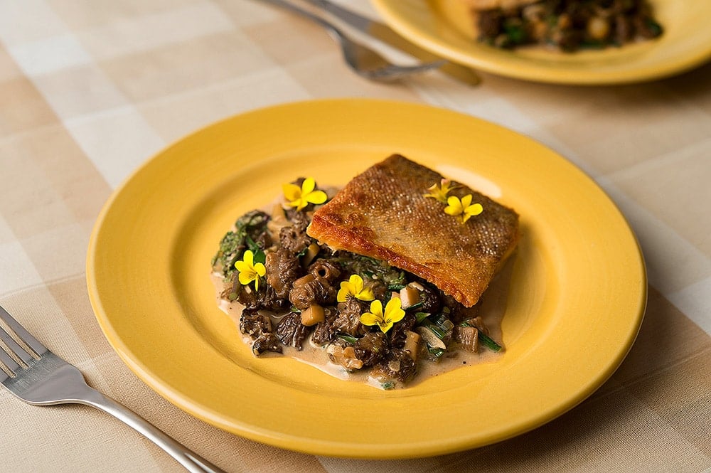 trout with morels recipe