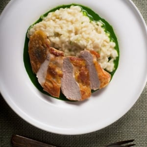 Pheasant breast with parsley sauce on the plate