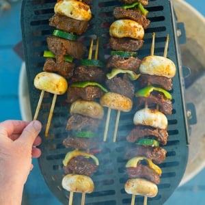 Venison kebabs on the grill
