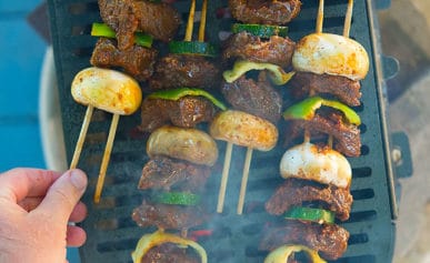 Venison kebabs on the grill