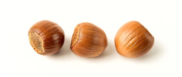 three freshly harvested wild hazel nuts