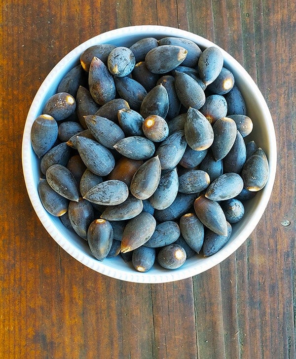 A bowl of blue oak acorns