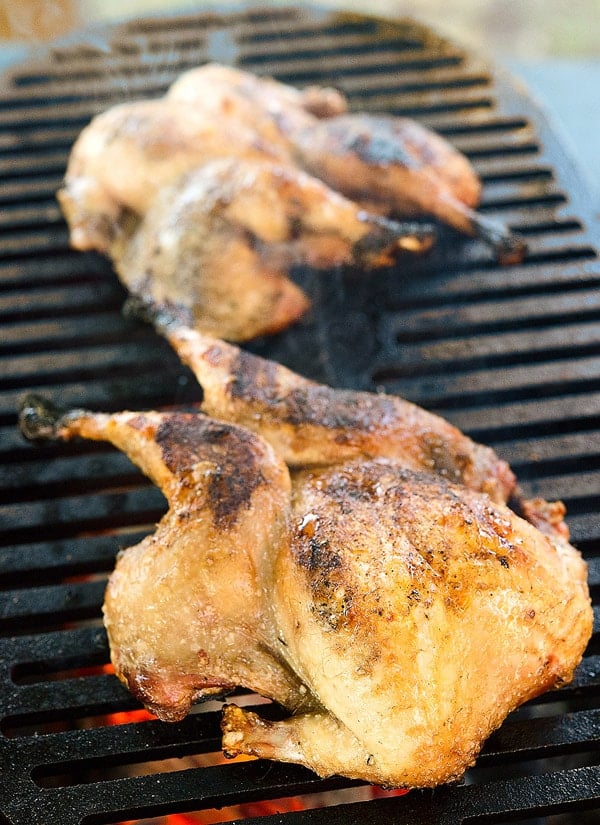 Partridges on the grill