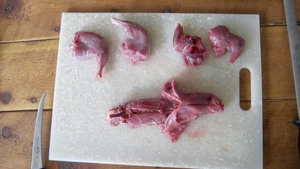 A squirrel cut up for cooking
