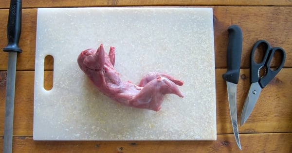 Skinned squirrel ready to cut up