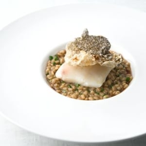 poached walleye with barley risotto