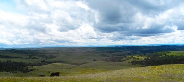 A ranch in central California. 