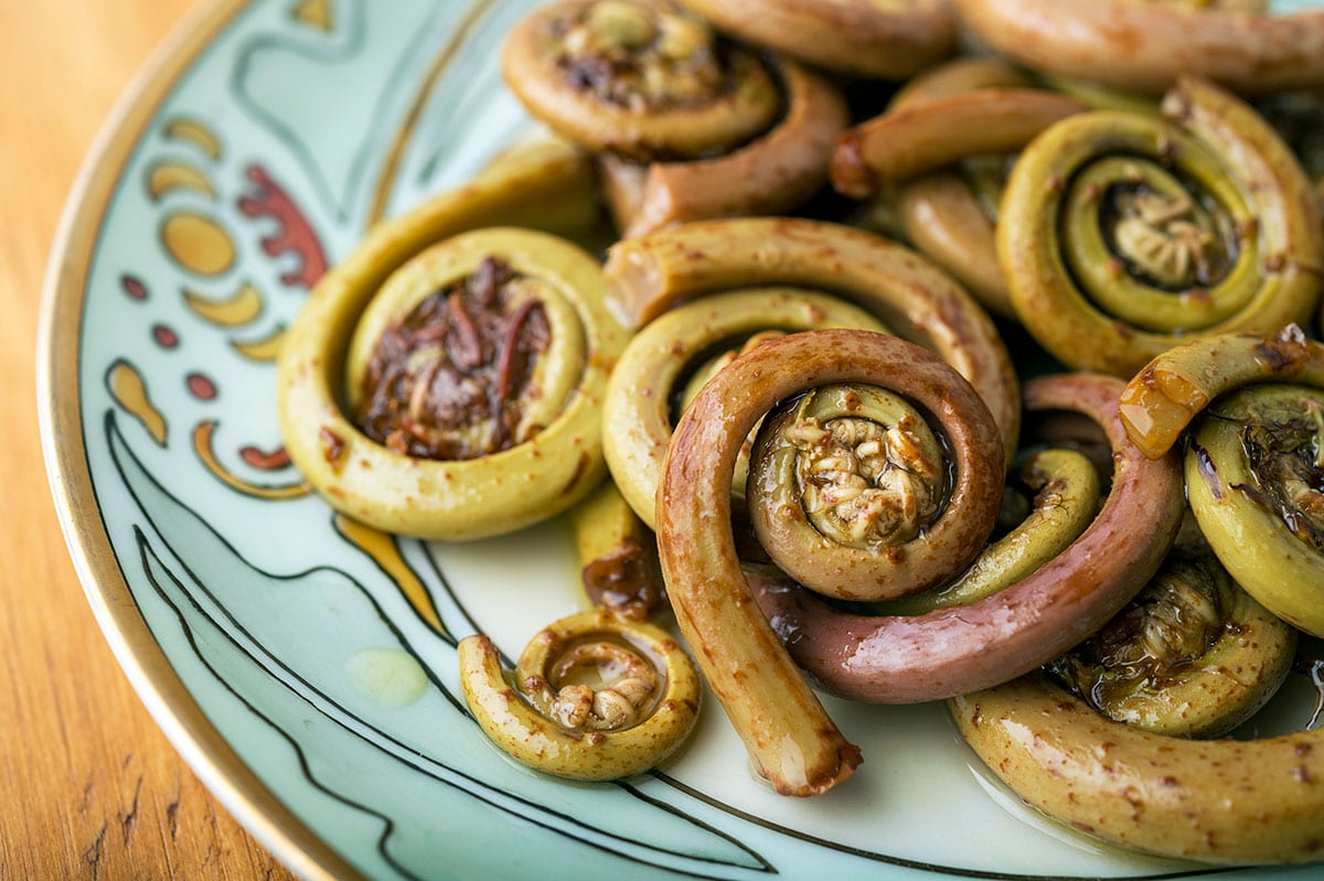 Closeup of pickled fiddleheads on a plate