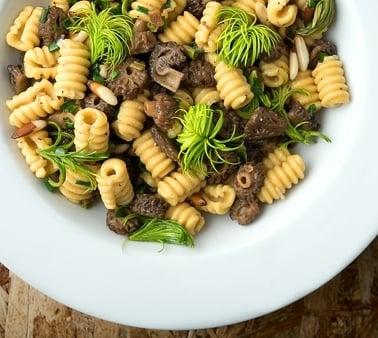pine pollen pasta with morels and fir tips