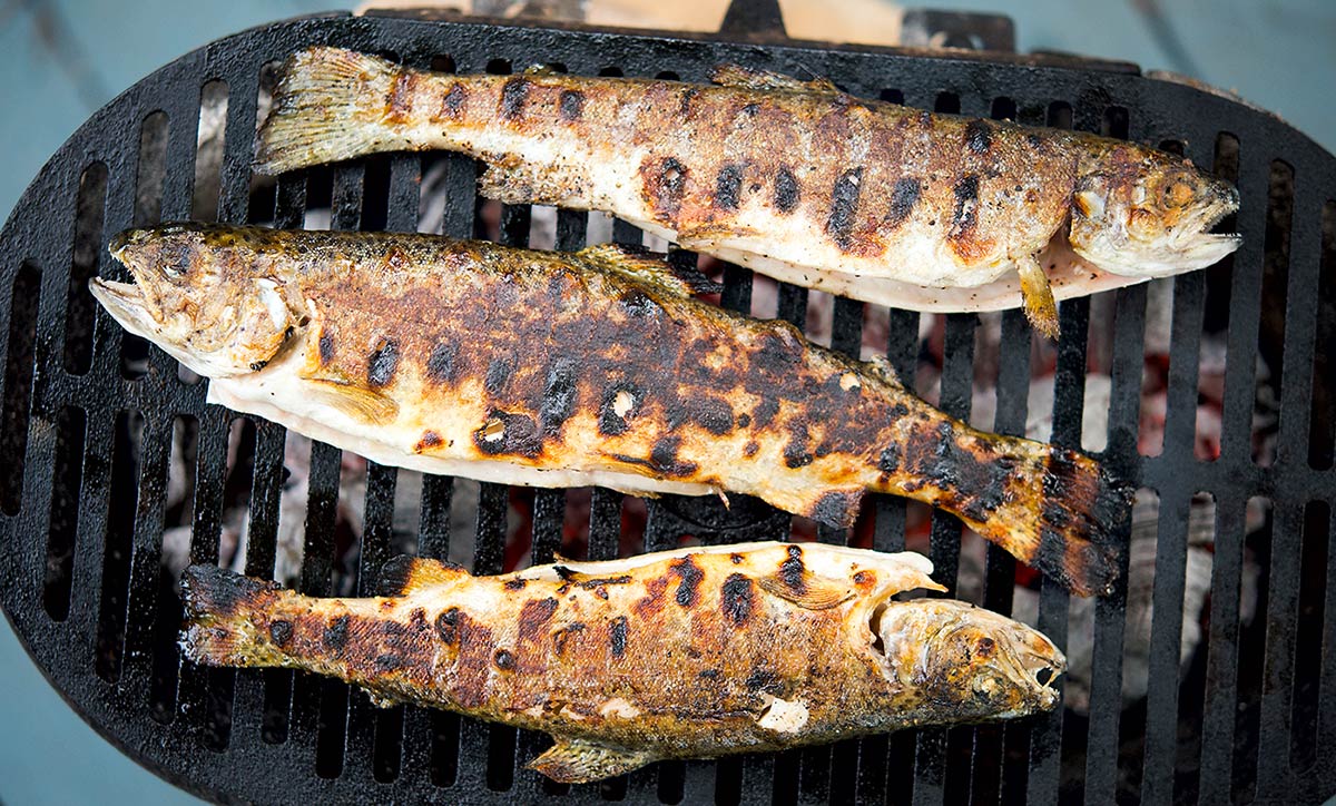 Trout on the grill