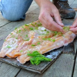 Adding spruce tips to Smoked Lake trout