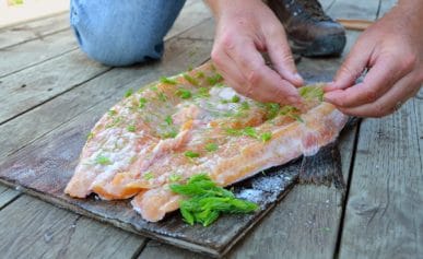 Adding spruce tips to Smoked Lake trout
